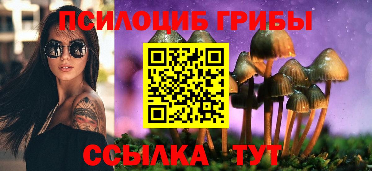 Псилоцибиновые грибы мицелий  Вход с VPN  Псилоцибиновые грибы ЛСД  Балашиха 